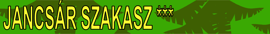 Jancsr Szakasz :) ***